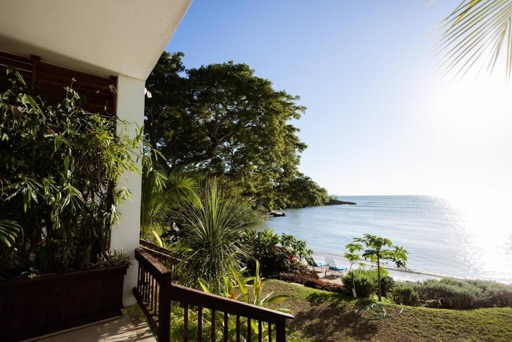 Ivy'S Cove Beach Side Condo - Luxury Villa Whitehouse Zewnętrze zdjęcie