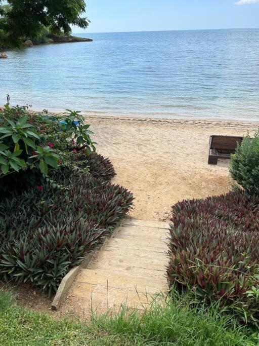 Ivy'S Cove Beach Side Condo - Luxury Villa Whitehouse Zewnętrze zdjęcie